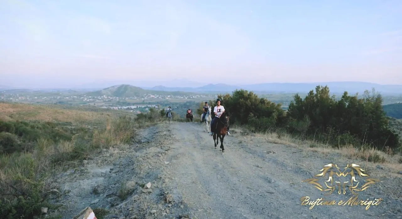 Bujtina E Muriqit Zogaj  0*, Zogaj (Shkoder) Albania
