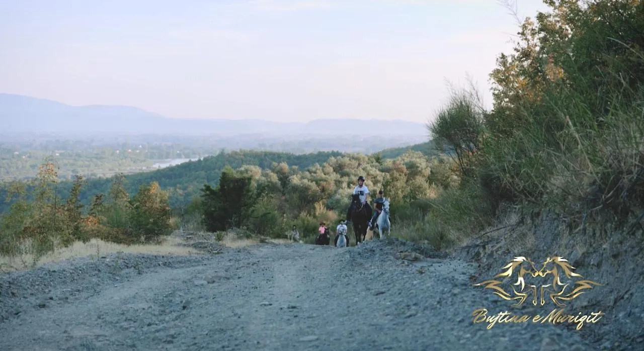Bujtina E Muriqit Zogaj  Albania