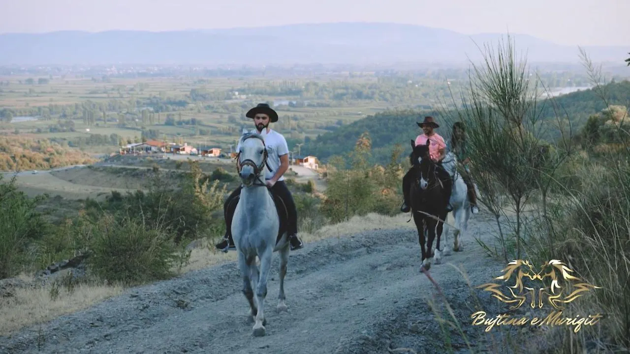 Bujtina E Muriqit Zogaj  Albania